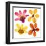 Pressed Orchids Back Lit on White-morganlstudios-Framed Art Print