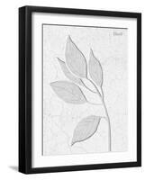 Pressed Plaques - Basil-Kristine Hegre-Framed Giclee Print