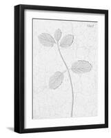 Pressed Plaques - Mint-Kristine Hegre-Framed Giclee Print