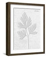 Pressed Plaques - Parsley-Kristine Hegre-Framed Giclee Print