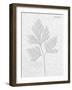 Pressed Plaques - Parsley-Kristine Hegre-Framed Giclee Print