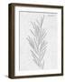 Pressed Plaques - Rosemary-Kristine Hegre-Framed Giclee Print