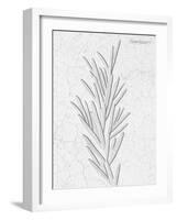 Pressed Plaques - Rosemary-Kristine Hegre-Framed Giclee Print