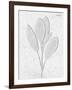 Pressed Plaques - Sage-Kristine Hegre-Framed Giclee Print