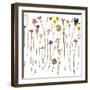 Pressed Wild Flowers-Iwona Grodzka-Framed Art Print