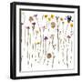 Pressed Wild Flowers-Iwona Grodzka-Framed Art Print