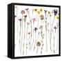 Pressed Wild Flowers-Iwona Grodzka-Framed Stretched Canvas