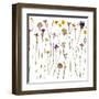 Pressed Wild Flowers-Iwona Grodzka-Framed Art Print