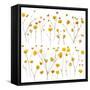 Pressed Yellow Wildflowers-Iwona Grodzka-Framed Stretched Canvas