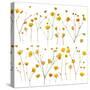 Pressed Yellow Wildflowers-Iwona Grodzka-Stretched Canvas