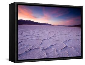 Pressure Ridges in the Salt Pan Near Badwater, Death Valley National Park, California, USA-Darrell Gulin-Framed Stretched Canvas