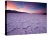 Pressure Ridges in the Salt Pan Near Badwater, Death Valley National Park, California, USA-Darrell Gulin-Stretched Canvas