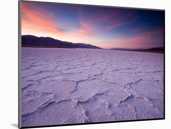 Pressure Ridges in the Salt Pan Near Badwater, Death Valley National Park, California, USA-Darrell Gulin-Mounted Photographic Print