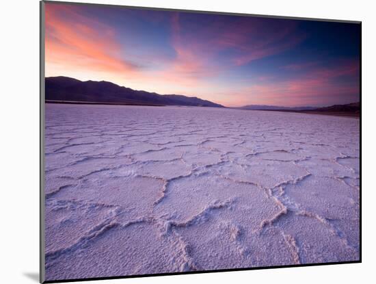 Pressure Ridges in the Salt Pan Near Badwater, Death Valley National Park, California, USA-Darrell Gulin-Mounted Photographic Print