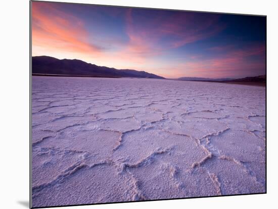 Pressure Ridges in the Salt Pan Near Badwater, Death Valley National Park, California, USA-Darrell Gulin-Mounted Photographic Print