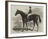 Pretender, Winner of the Derby-Samuel John Carter-Framed Giclee Print