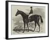 Pretender, Winner of the Derby-Samuel John Carter-Framed Giclee Print