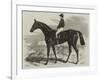 Pretender, Winner of the Derby-Samuel John Carter-Framed Giclee Print