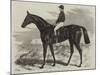 Pretender, Winner of the Derby-Samuel John Carter-Mounted Giclee Print