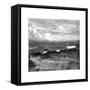 Pretoria, South Africa, C1890-null-Framed Stretched Canvas