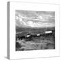 Pretoria, South Africa, C1890-null-Stretched Canvas