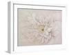 Prettiness-Andrew Michaels-Framed Art Print