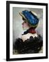 Pretty as a Picture-Vittorio Matteo Corcos-Framed Giclee Print