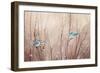 Pretty Birds-Julia Purinton-Framed Art Print