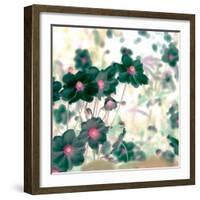 Pretty Black Flowers III-Suzie Pibworth-Framed Giclee Print