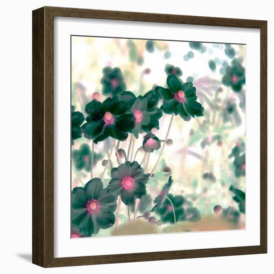 Pretty Black Flowers III-Suzie Pibworth-Framed Giclee Print