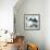 Pretty Black Flowers IV-Suzie Pibworth-Framed Giclee Print displayed on a wall