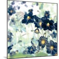 Pretty Black Flowers IV-Suzie Pibworth-Mounted Giclee Print
