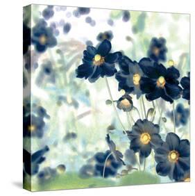 Pretty Black Flowers IV-Suzie Pibworth-Stretched Canvas