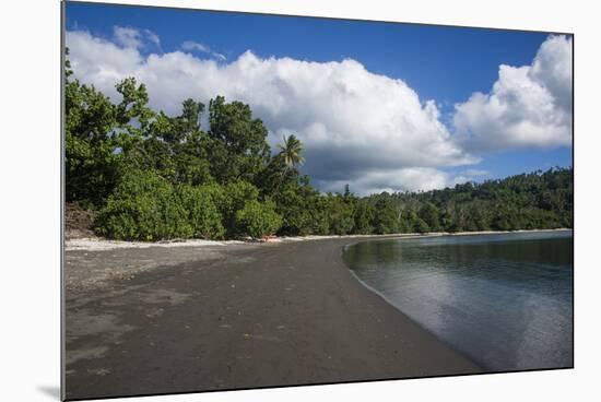 Pretty black sand volcanic beach, Epi Island, Shepherd Islands, Vanuatu, Pacific-Michael Runkel-Mounted Photographic Print