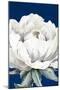 Pretty Bloom On Blue-Patricia Pinto-Mounted Art Print