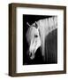 Pretty Boy-Barry Hart-Framed Art Print