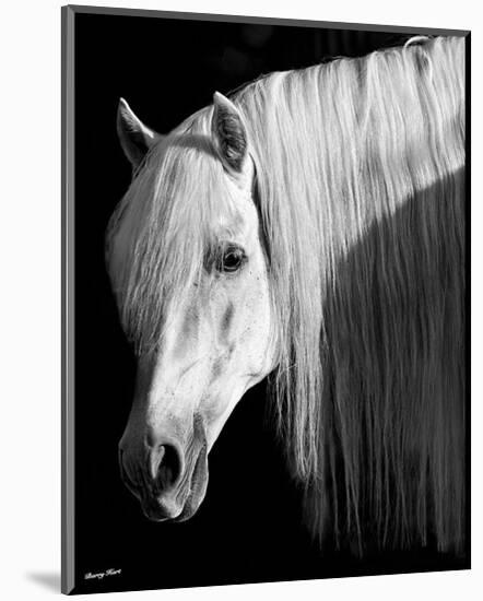 Pretty Boy-Barry Hart-Mounted Art Print