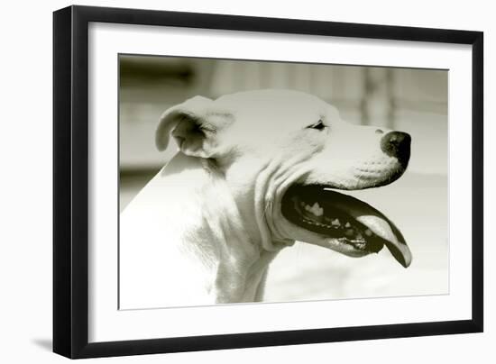 Pretty Boy-Karen Williams-Framed Photographic Print