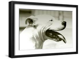 Pretty Boy-Karen Williams-Framed Photographic Print