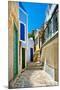 Pretty Colored Streets of Greek Islands-Maugli-l-Mounted Photographic Print