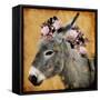 Pretty Donkey-Marcus Prime-Framed Stretched Canvas