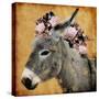 Pretty Donkey-Marcus Prime-Stretched Canvas