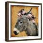 Pretty Donkey-Marcus Prime-Framed Art Print