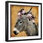 Pretty Donkey-Marcus Prime-Framed Art Print