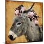 Pretty Donkey-Marcus Prime-Mounted Art Print