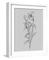 Pretty Flower I-Jasmine Woods-Framed Art Print