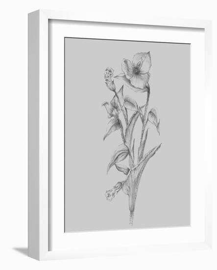 Pretty Flower I-Jasmine Woods-Framed Art Print