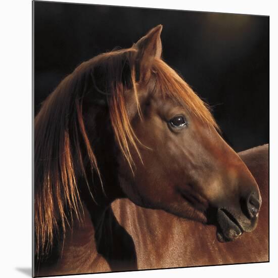 Pretty Girl-Wendy Caro-Mounted Art Print