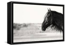 Pretty Girl-Aledanda-Framed Stretched Canvas