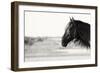 Pretty Girl-Aledanda-Framed Photographic Print